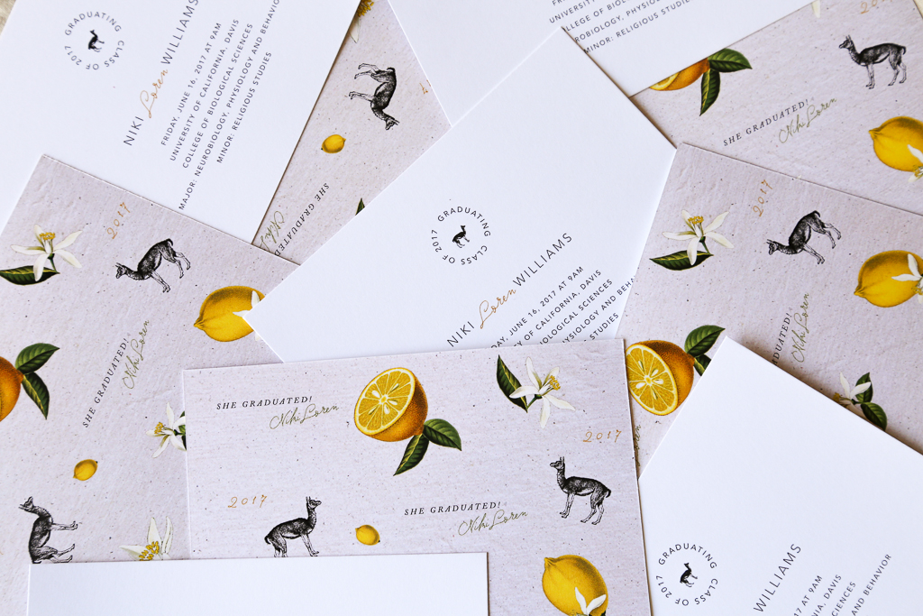 Flatlay of Custom Llamas and Lemons Stationery Suite by Amarie Design Co. 
